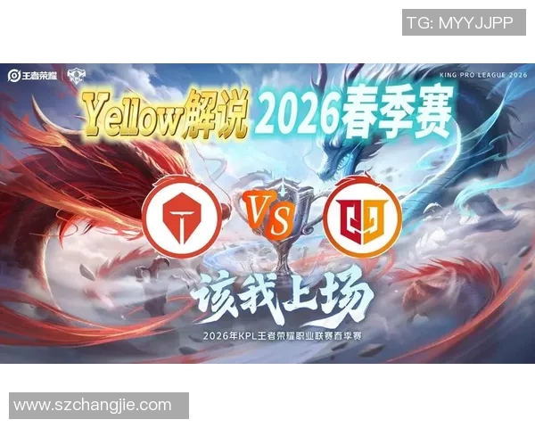 王者荣耀战队TES的节奏解析与战略深度剖析